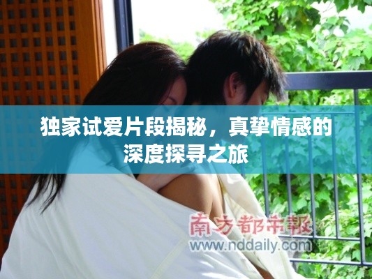 独家试爱片段揭秘，真挚情感的深度探寻之旅