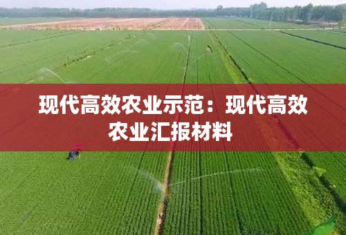 现代高效农业示范：现代高效农业汇报材料 