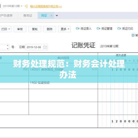 财务处理规范：财务会计处理办法 