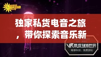 独家私货电音之旅，带你探索音乐新境界的魅力之旅