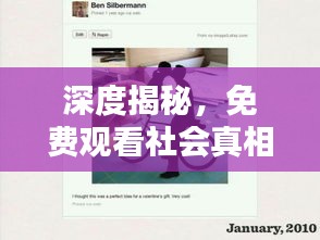 深度揭秘，免费观看社会真相的深度报道，揭露背后不为人知的秘密
