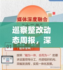 巡察整改动态周报，深度追踪落实进度，成效一目了然