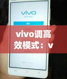 vivo调高效模式：vivo怎么调高刷 