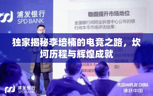独家揭秘李培楠的电竞之路，坎坷历程与辉煌成就