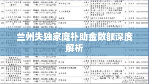 兰州失独家庭补助金数额深度解析