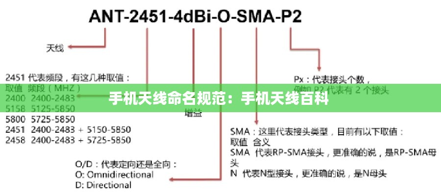 蓬荜生辉 第2页