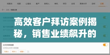 高效客户拜访案例揭秘，销售业绩飙升的秘诀！