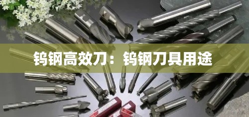 降贵纡尊 第2页