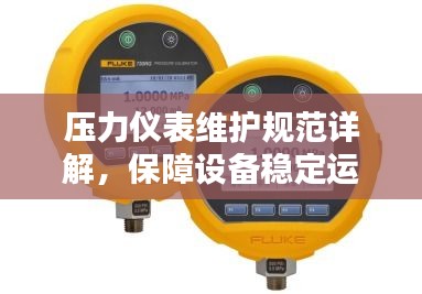 压力仪表维护规范详解，保障设备稳定运行的关键步骤