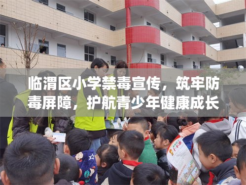 临渭区小学禁毒宣传，筑牢防毒屏障，护航青少年健康成长之路
