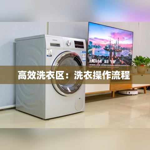 高效洗衣区：洗衣操作流程 