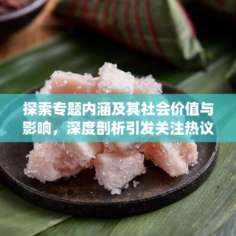 探索专题内涵及其社会价值与影响，深度剖析引发关注热议