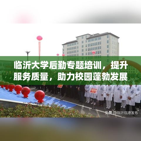 临沂大学后勤专题培训，提升服务质量，助力校园蓬勃发展