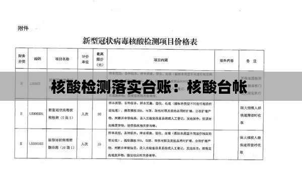 兵贵神速 第2页
