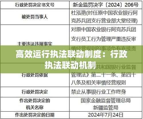 高效运行执法联动制度：行政执法联动机制 