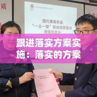 跟进落实方案实施：落实的方案 