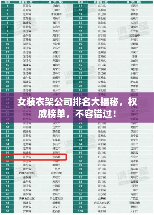 女装衣架公司排名大揭秘，权威榜单，不容错过！