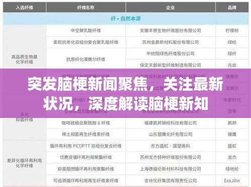突发脑梗新闻聚焦，关注最新状况，深度解读脑梗新知