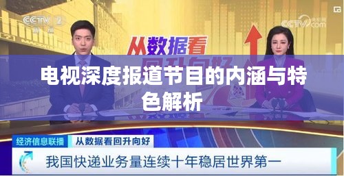 电视深度报道节目的内涵与特色解析