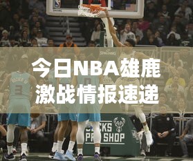 今日NBA雄鹿激战情报速递
