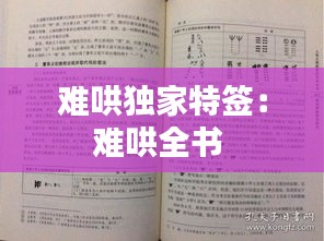 难哄独家特签：难哄全书 