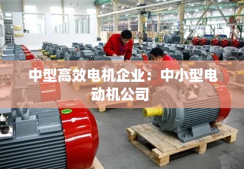 中型高效电机企业：中小型电动机公司 