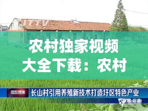 农村独家视频大全下载：农村视频排行榜 
