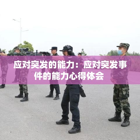应对突发的能力：应对突发事件的能力心得体会 
