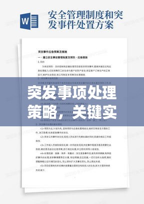 突发事项处理策略，关键实践与审慎应对之道