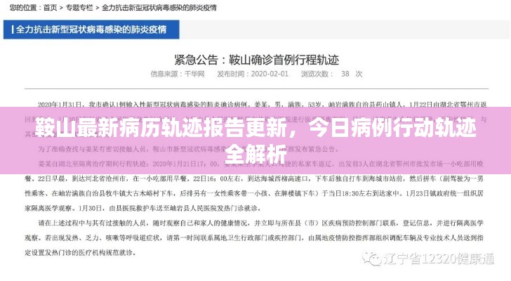 鞍山最新病历轨迹报告更新，今日病例行动轨迹全解析