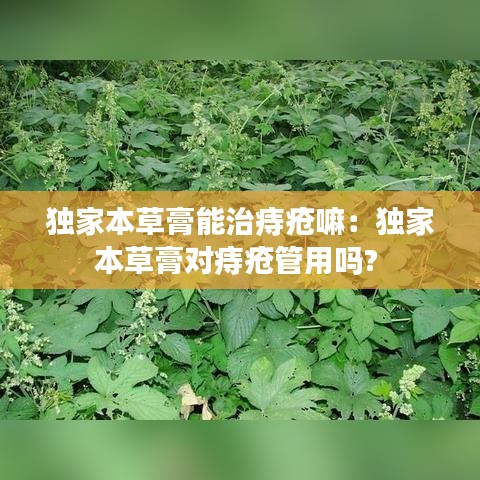 独家本草膏能治痔疮嘛：独家本草膏对痔疮管用吗? 