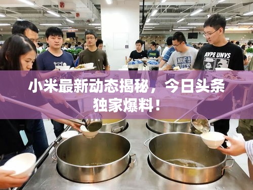 小米最新动态揭秘，今日头条独家爆料！