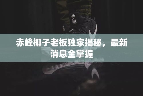 赤峰椰子老板独家揭秘，最新消息全掌握