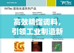 高效精馏调料，引领工业制造新时代的革新先锋