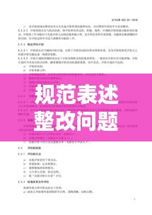 规范表述整改问题：改进规范 