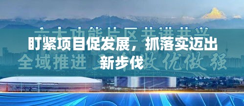 盯紧项目促发展，抓落实迈出新步伐