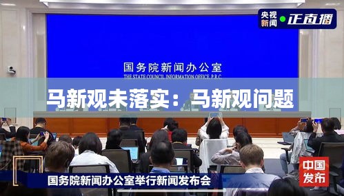 马新观未落实：马新观问题 