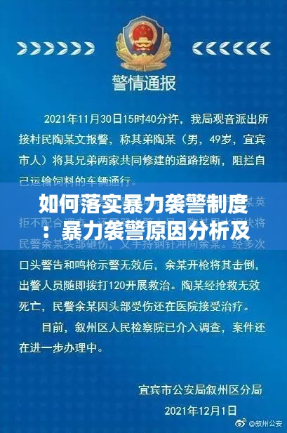 如何落实暴力袭警制度：暴力袭警原因分析及对策建议 
