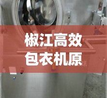 椒江高效包衣机原理图：描述高效包衣机工作原理 