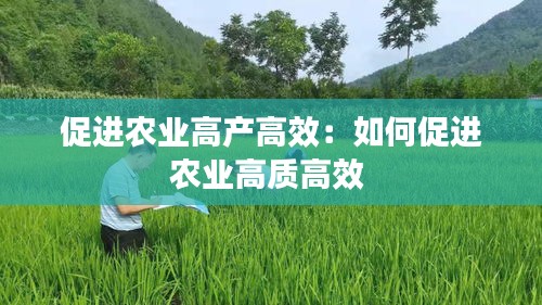 促进农业高产高效：如何促进农业高质高效 