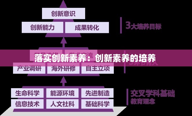 落实创新素养：创新素养的培养 