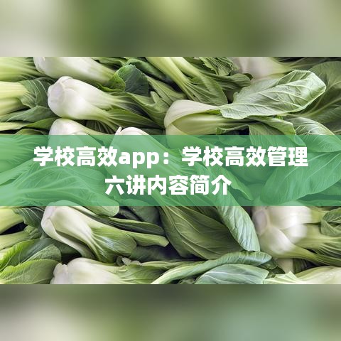 夫贵妻荣 第2页