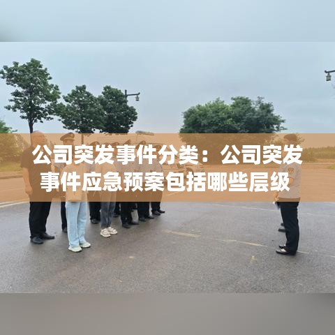 公司突发事件分类：公司突发事件应急预案包括哪些层级 