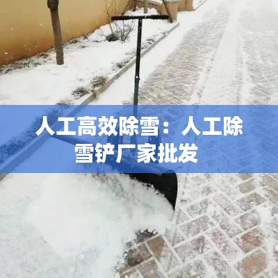 字斟句酌 第2页