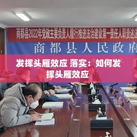 发挥头雁效应 落实：如何发挥头雁效应 