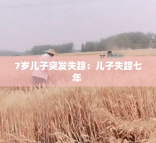 7岁儿子突发失踪：儿子失踪七年 