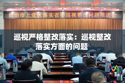 巡视严格整改落实：巡视整改落实方面的问题 