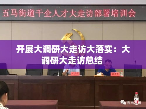 开展大调研大走访大落实：大调研大走访总结 