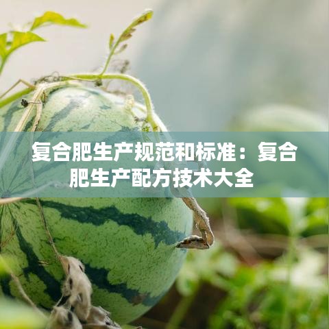 公司简介 第110页