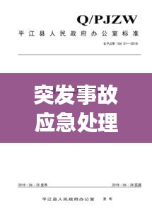突发事故应急处理救援：突发事故应急处理预案 
